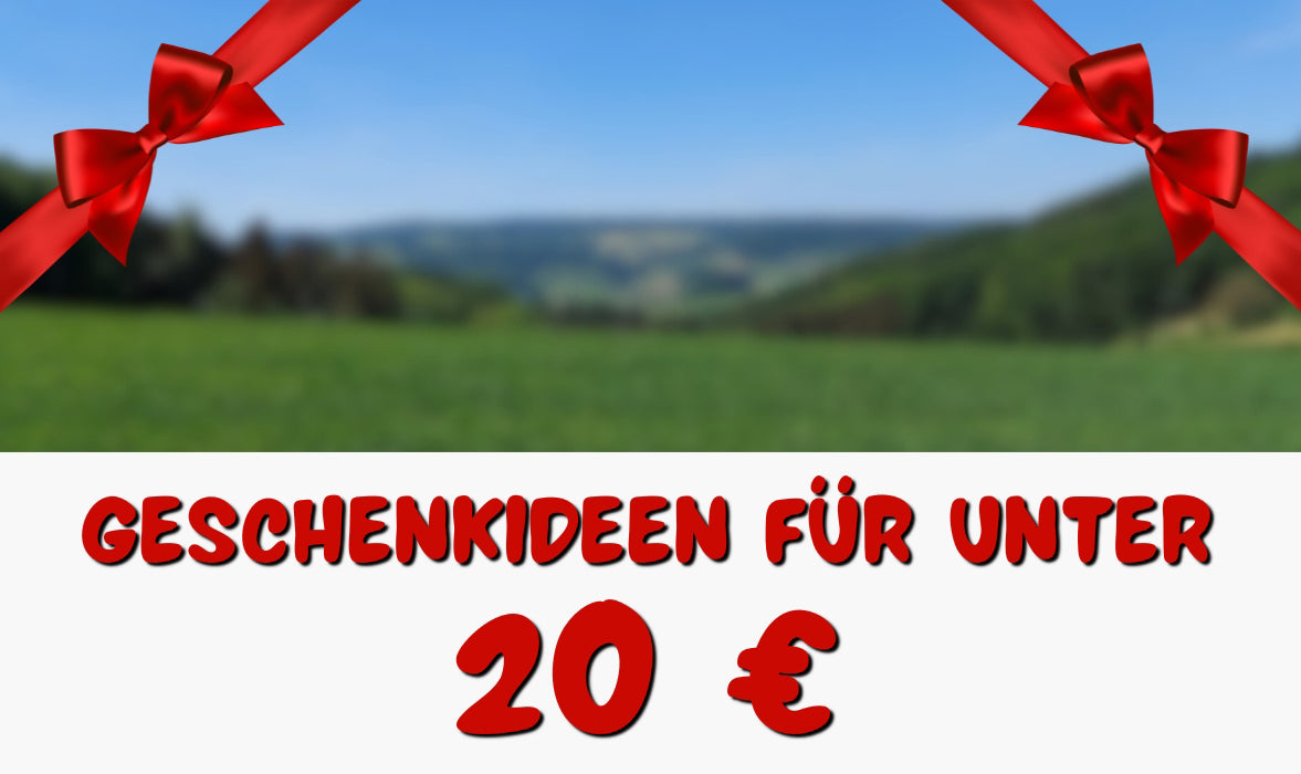 Geschenkideen für unter 20€