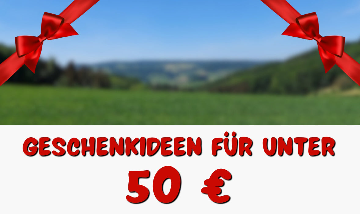 Geschenkideen für unter 50€