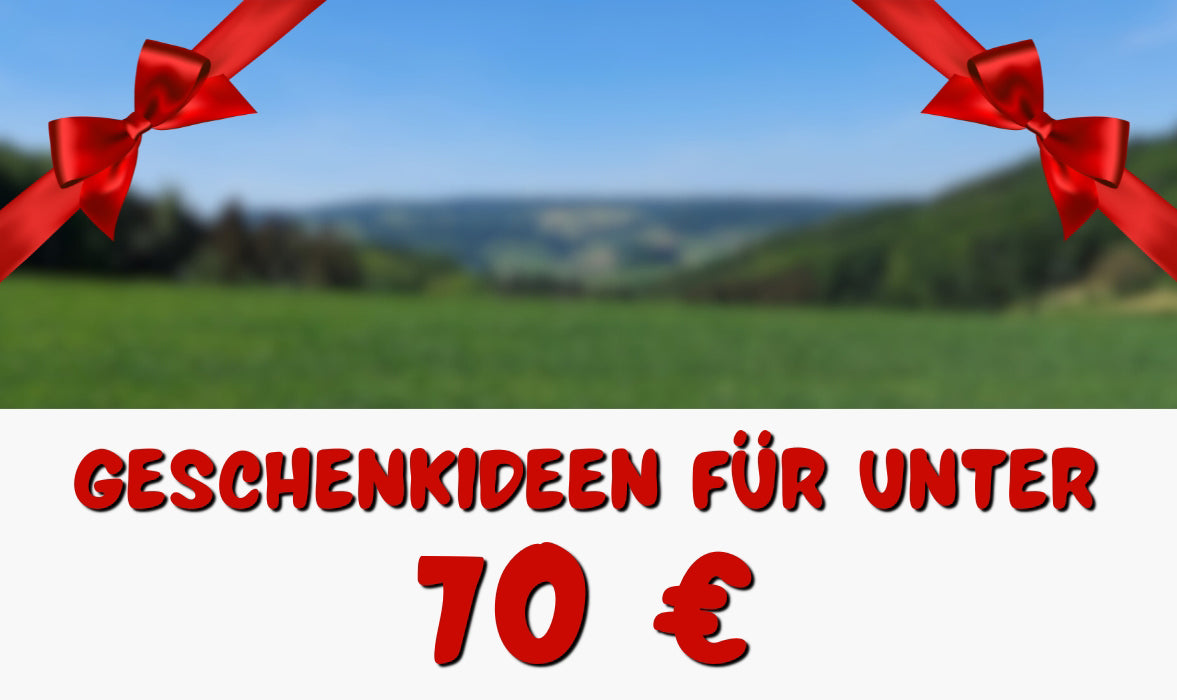 Geschenkideen für unter 70€